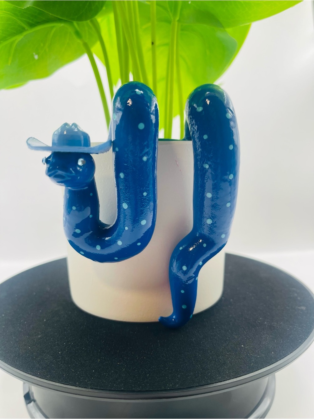 Blue Bandit - The Adorable Snake for Potted Plants!